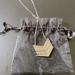 NWT: Express - Long Silver Necklace